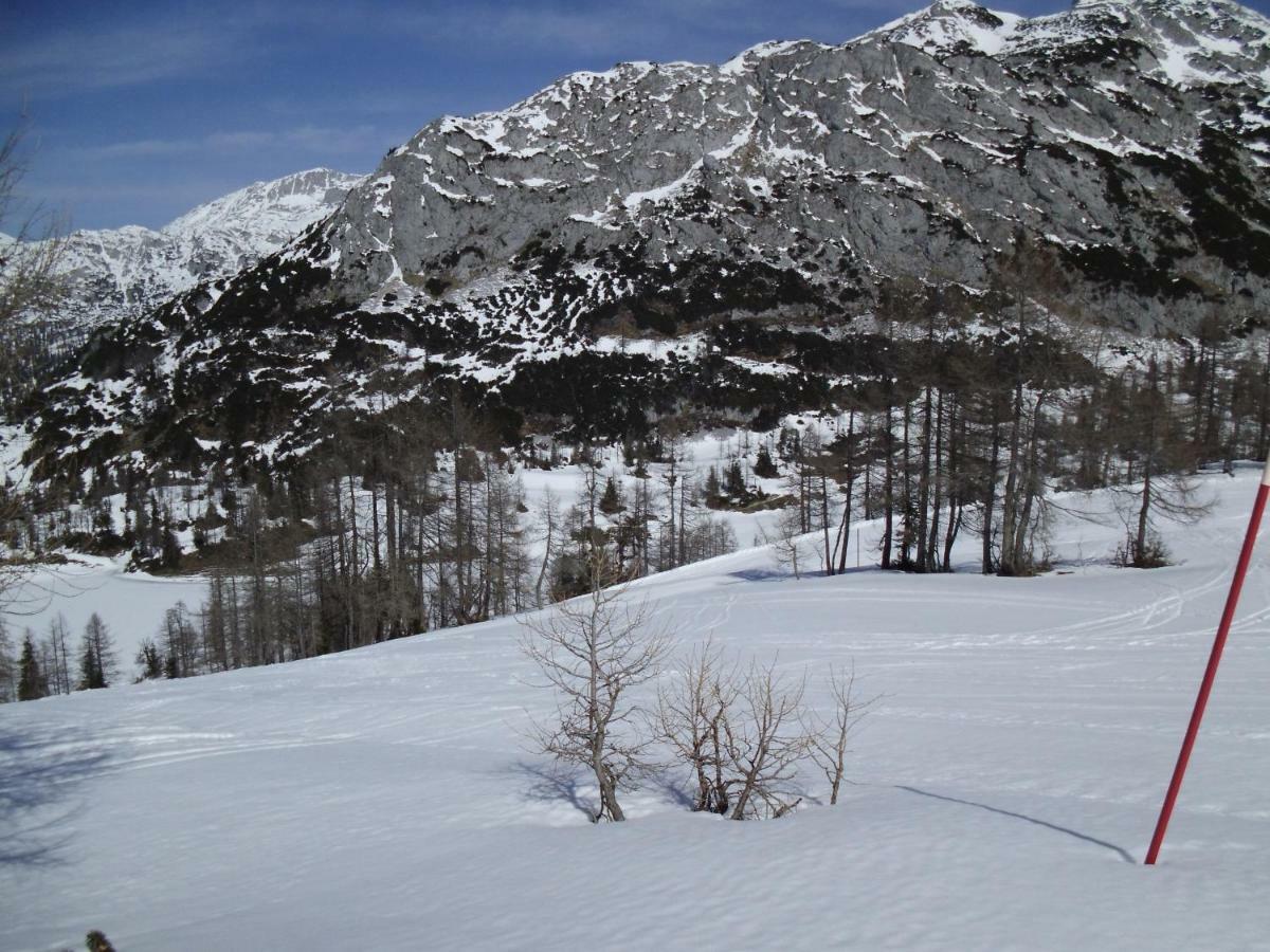 Weideblick Apartment Tauplitz Luaran gambar