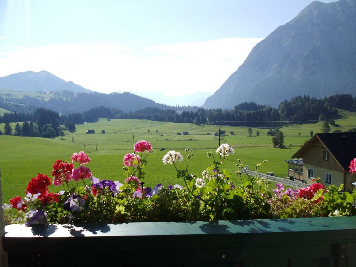 Weideblick Apartment Tauplitz Luaran gambar